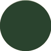 Dark Green Homecoming Dresses